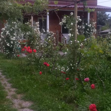Cottage And Gigo Papa'S Wine Cellar Kvareli Exterior photo