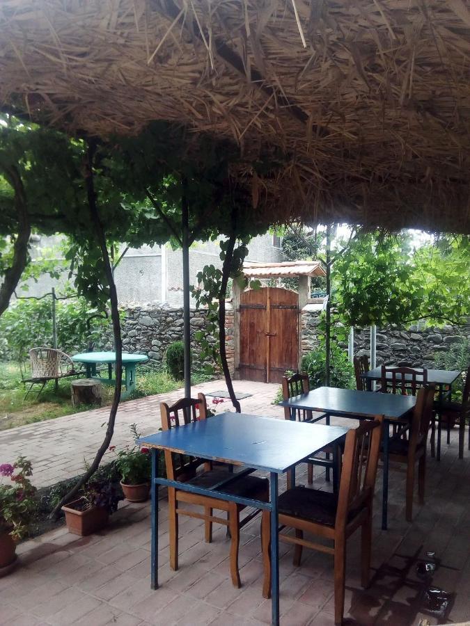 Cottage And Gigo Papa'S Wine Cellar Kvareli Exterior photo