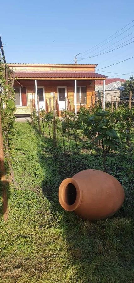Cottage And Gigo Papa'S Wine Cellar Kvareli Exterior photo