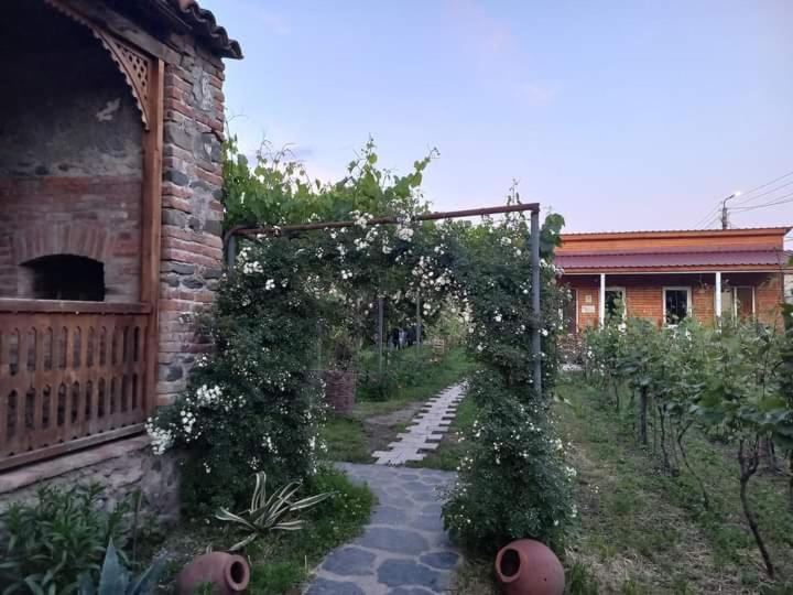Cottage And Gigo Papa'S Wine Cellar Kvareli Exterior photo