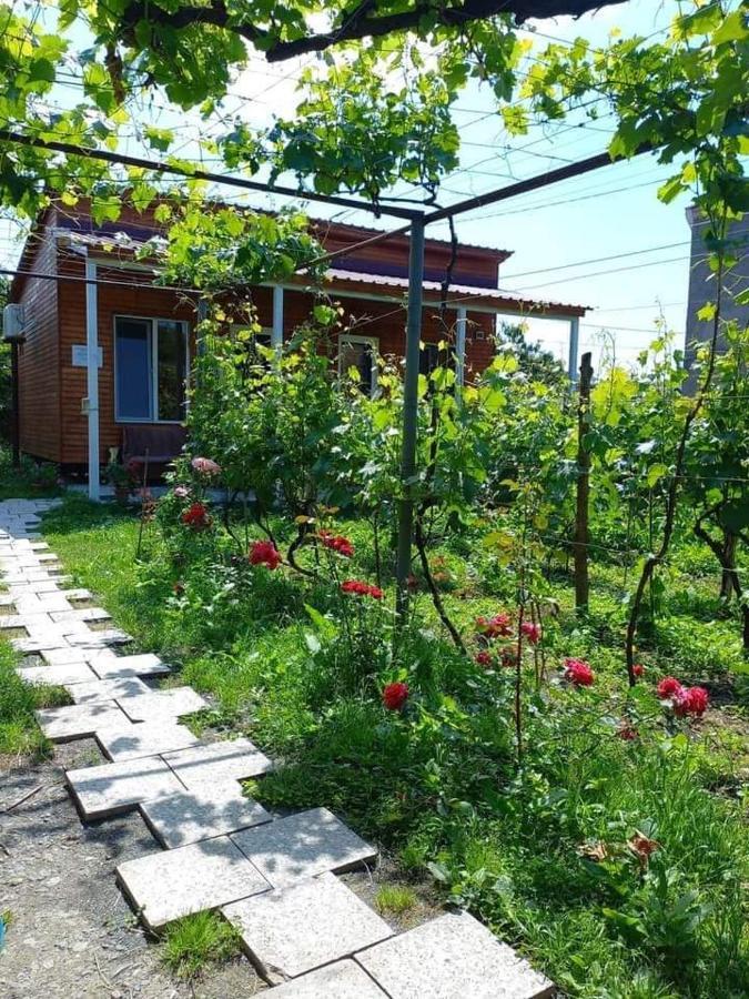 Cottage And Gigo Papa'S Wine Cellar Kvareli Exterior photo