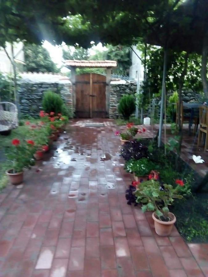 Cottage And Gigo Papa'S Wine Cellar Kvareli Exterior photo