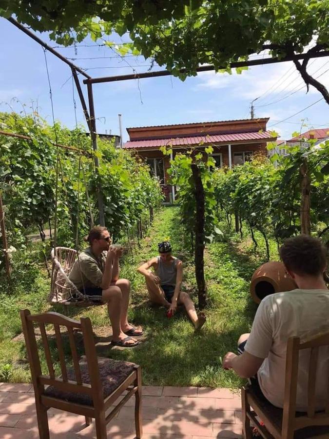 Cottage And Gigo Papa'S Wine Cellar Kvareli Exterior photo