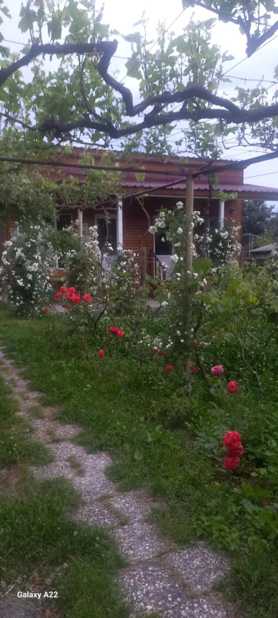 Cottage And Gigo Papa'S Wine Cellar Kvareli Exterior photo